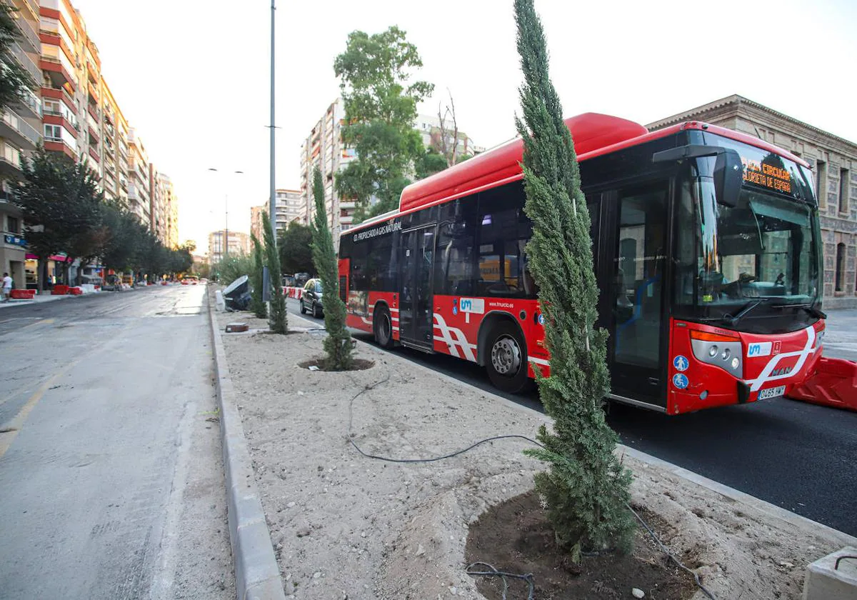 El nuevo arbolado de Ronda Norte y Primo de Rivera simbolizará las tres